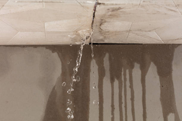 Professional Water Damage Inspection technician working in Mesquite, TX